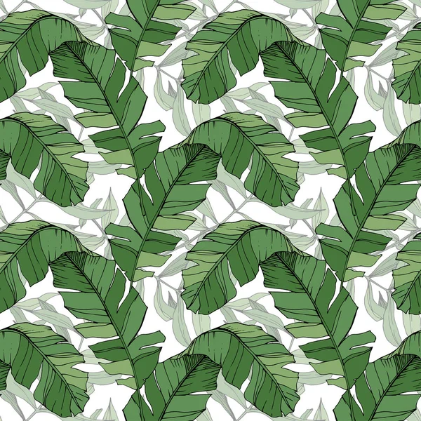 Vector Green leaf plant garden floral foliage. Engraved ink art. Palm beach tree leaves. Seamless background pattern. — Stock Vector