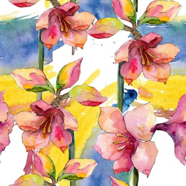 Pembe ve mor amaryllis botanik çiçek. Suluboya arka plan illüstrasyon küme. Sorunsuz arka plan deseni.