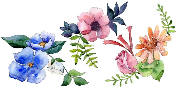 Bouquet floral botanical flowers. Watercolor background illustration set. Isolated flower illustration element. — Stock Photo, Image