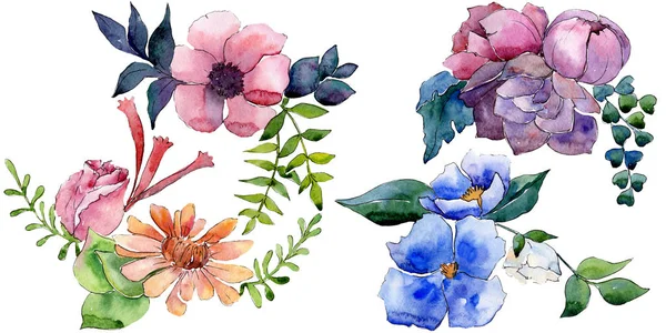Bukett blommor botaniska blommor. Akvarell bakgrund illustration set. Isolerade blomma illustration element. — Stockfoto
