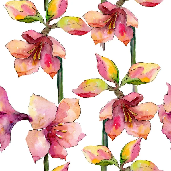 Pink and purple amaryllis floral botanical flower. Watercolor background illustration set. Seamless background pattern. — Stock Photo, Image