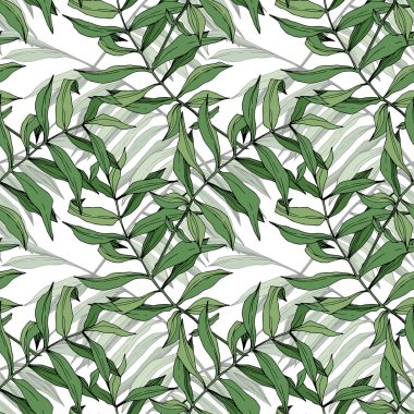 Vektör yaprak yeşil bitki bahçe çiçek bitki örtüsü. Oyulmuş mürekkep sanat. Palm beach ağaç yaprak. Sorunsuz arka plan deseni.
