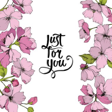 Vektör pembe elma çiçeği botanik çiçek. Oyulmuş mürekkep sanat. Çerçeve kenarlığı süsleme Meydanı.