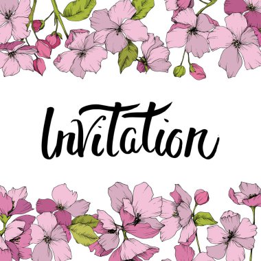 Vektör pembe elma çiçeği botanik çiçek. Oyulmuş mürekkep sanat. Çerçeve kenarlığı süsleme Meydanı.