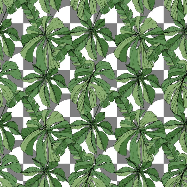 Vector groene blad plant tuin floral gebladerte. Gegraveerde inkt art. Palm beach boom verlaat. Naadloze achtergrondpatroon. — Stockvector