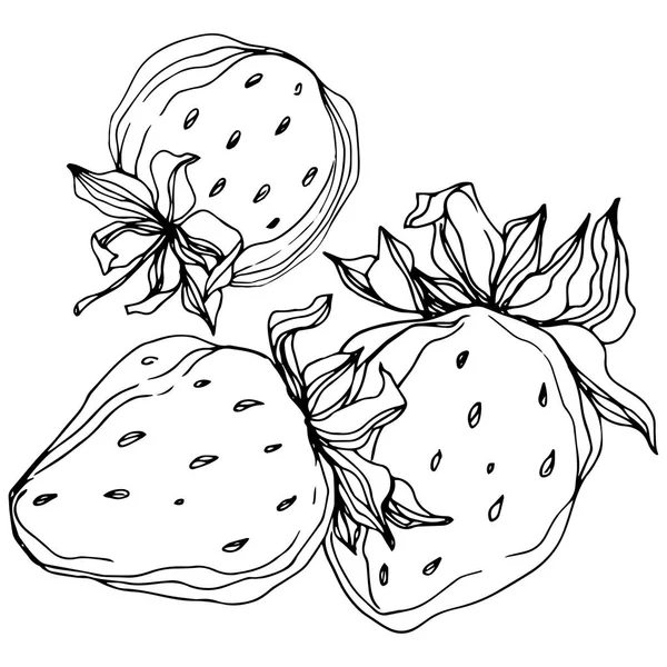 Vecteur Fraises. Encre gravée en noir et blanc. Élément d'illustration isolé à la fraise . — Image vectorielle