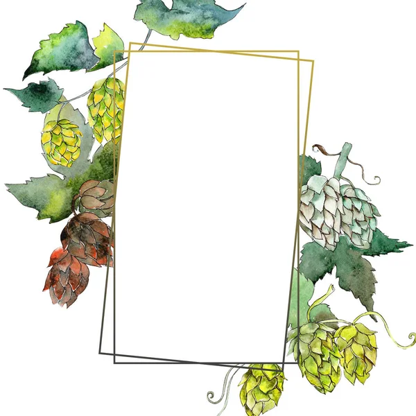 Green hops. Leaf plant botanical garden floral foliage. Watercolor background illustration set. Watercolour drawing fashion aquarelle isolated. Frame border ornament square.