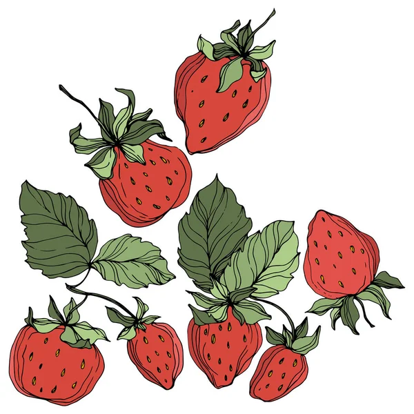 向量草莓果。绿叶。红色和绿色雕刻水墨艺术。被隔绝的草莓例证元素. — 图库矢量图片