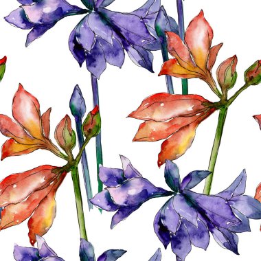 Pembe ve mor amaryllis botanik çiçek. Suluboya arka plan illüstrasyon küme. Sorunsuz arka plan deseni.