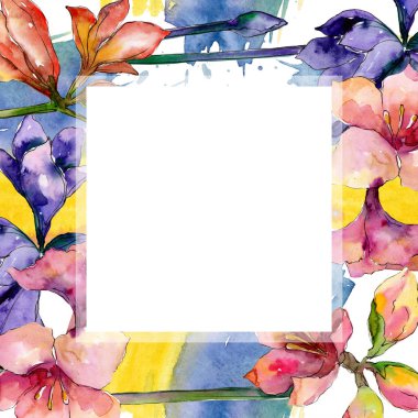 Pembe ve mor amaryllis botanik çiçek. Suluboya arka plan illüstrasyon küme. Çerçeve kenarlığı süsleme Meydanı.