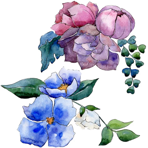 Buket çiçek botanik çiçekler. Suluboya arka plan illüstrasyon küme. İzole çiçek çizim öğesi.