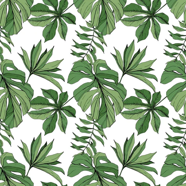 Vektör yaprak yeşil bitki bahçe çiçek bitki örtüsü. Oyulmuş mürekkep sanat. Palm beach ağaç yaprak. Sorunsuz arka plan deseni.