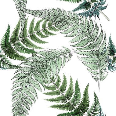 Fern yeşil yaprak. Botanik çiçek bitki örtüsü bitki. Suluboya arka plan illüstrasyon küme. Sorunsuz arka plan deseni.