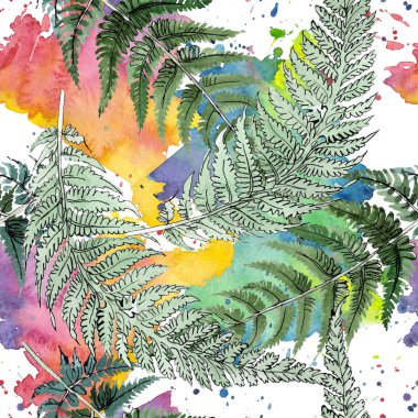 Fern yeşil yaprak. Botanik çiçek bitki örtüsü bitki. Suluboya arka plan illüstrasyon küme. Sorunsuz arka plan deseni.