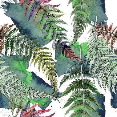 Fern yeşil yaprak. Botanik çiçek bitki örtüsü bitki. Suluboya arka plan illüstrasyon küme. Sorunsuz arka plan deseni.