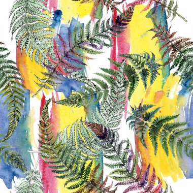 Fern yeşil yaprak. Botanik çiçek bitki örtüsü bitki. Suluboya arka plan illüstrasyon küme. Sorunsuz arka plan deseni.