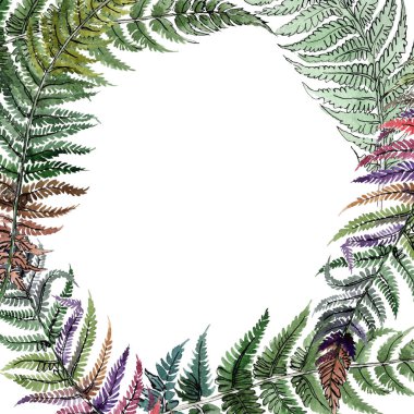 Fern yeşil yaprak. Botanik çiçek bitki örtüsü bitki. Suluboya arka plan illüstrasyon küme. Çerçeve kenarlığı süsleme Meydanı.