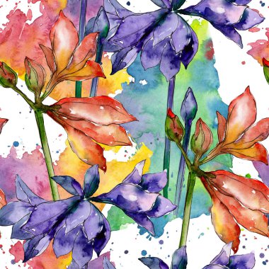 Pembe ve mor amaryllis botanik çiçek. Suluboya arka plan illüstrasyon küme. Sorunsuz arka plan deseni.