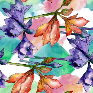 Pembe ve mor amaryllis botanik çiçek. Suluboya arka plan illüstrasyon küme. Sorunsuz arka plan deseni.
