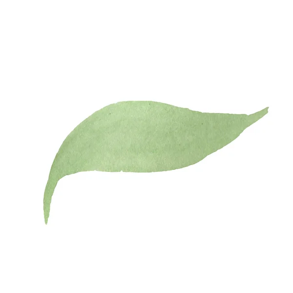 ひまわり緑葉。花植物の花。水彩画背景セット。分離ひまわりイラスト要素. — ストック写真