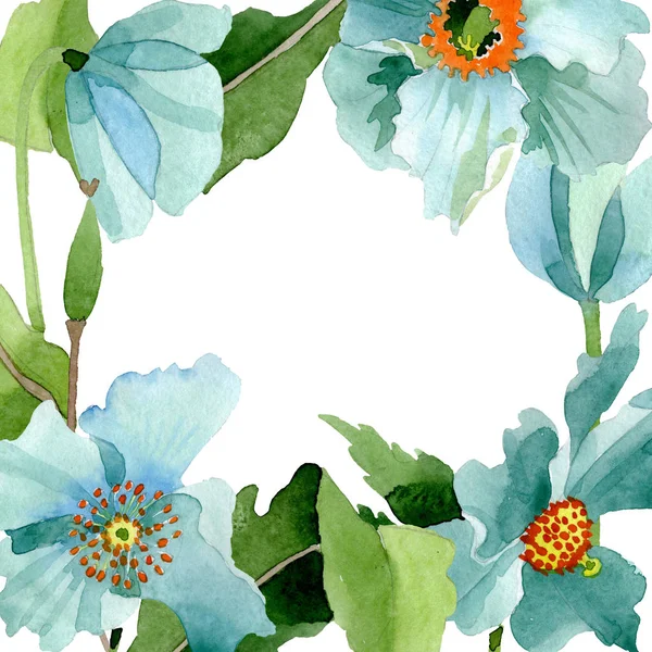 Blue poppy floral botanical flower. Watercolor background illustration set. Frame border ornament square. — Stock Photo, Image