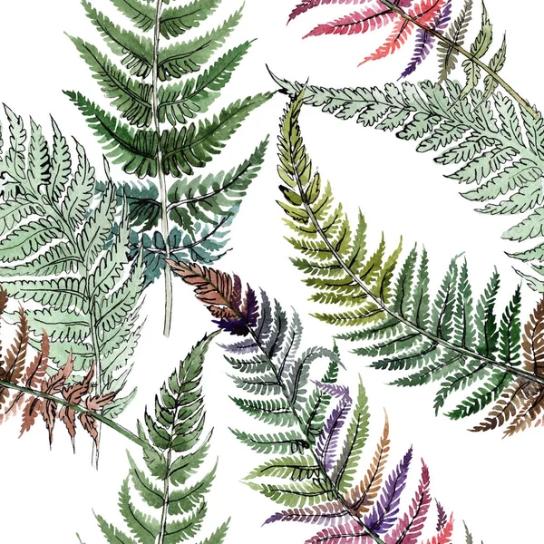 Fern groen blad. Plant botanische bloemen gebladerte. Aquarel achtergrond afbeelding instellen. Naadloze achtergrondpatroon. — Stockfoto