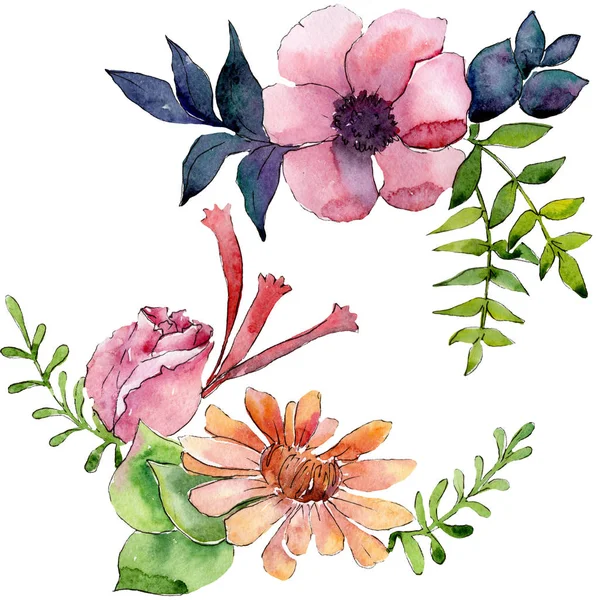 Buket çiçek botanik çiçekler. Suluboya arka plan illüstrasyon küme. İzole çiçek çizim öğesi.