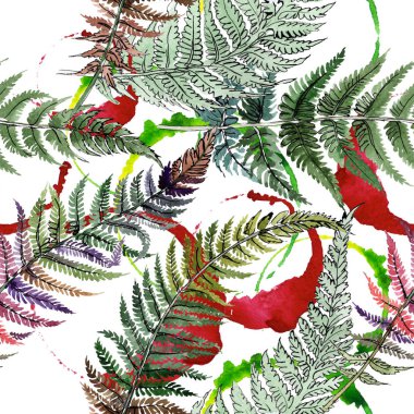 Fern yeşil yaprak. Botanik çiçek bitki örtüsü bitki. Suluboya arka plan illüstrasyon küme. Sorunsuz arka plan deseni.