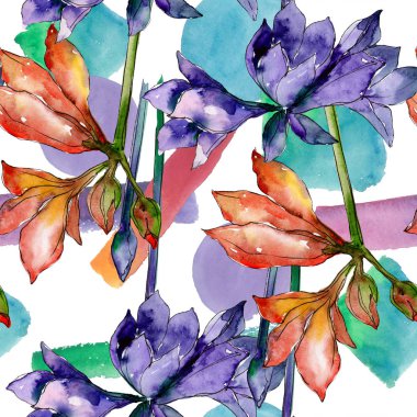 Pembe ve mor amaryllis botanik çiçek. Suluboya arka plan illüstrasyon küme. Sorunsuz arka plan deseni.