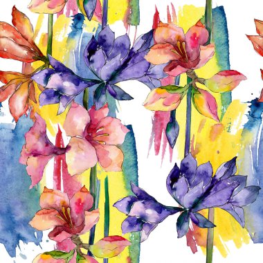 Pembe ve mor amaryllis botanik çiçek. Suluboya arka plan illüstrasyon küme. Sorunsuz arka plan deseni.