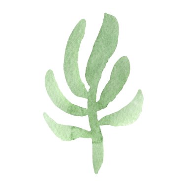 Yeşil yaprak botanik çiçek. Suluboya arka plan illüstrasyon küme. İzole yaprak illüstrasyon öğesi.