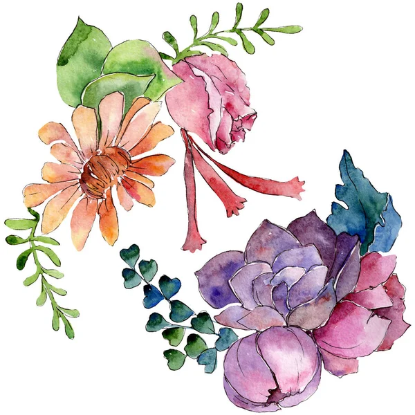 Bukiet kwiatowy kwiaty botanicznych. Zestaw ilustracji tle akwarela. Element ilustracja kwiat na białym tle. — Zdjęcie stockowe