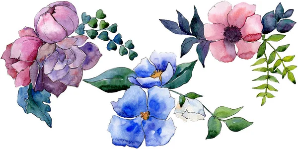 Buquê flores botânicas florais. Conjunto de ilustração de fundo aquarela. Isolado elemento ilustração flor . — Fotografia de Stock