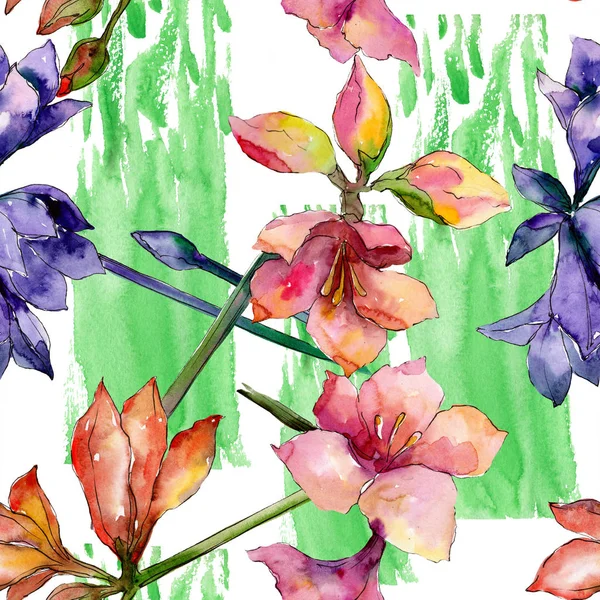 Amarylis różowy i fioletowy kwiat kwiatowy botanicznych. Zestaw ilustracji tle akwarela. Bezszwowe tło wzór. — Zdjęcie stockowe