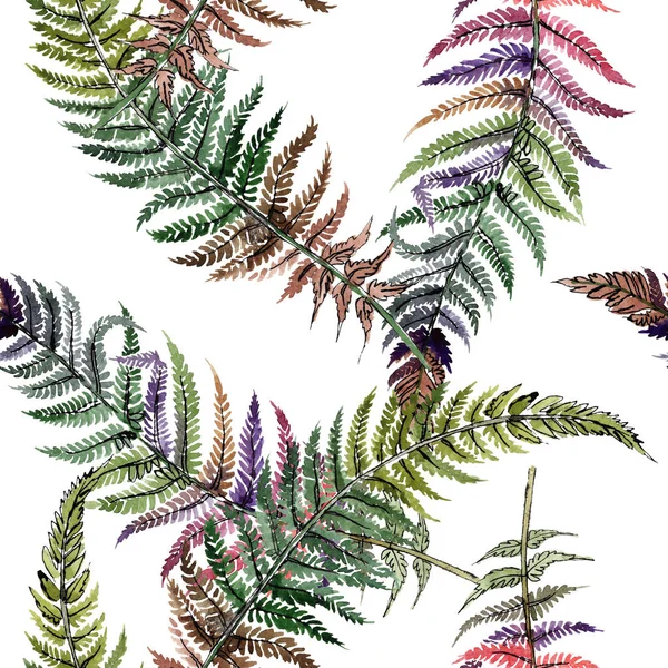 Listy zelené kapradí. Rostlin botanického květinové listy. Sada akvarel pozadí obrázku. Vzor bezešvé pozadí. — Stock fotografie