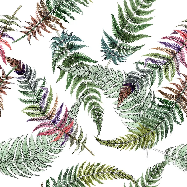 Φύλλο πράσινο φτέρη. Βοτανική floral φύλλωμα των φυτών. Ακουαρέλα φόντο εικόνα σύνολο. Απρόσκοπτη υπόβαθρο μοτίβο. — Φωτογραφία Αρχείου