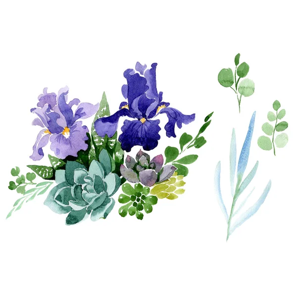 Lila irisar blommig botaniska blomma. Akvarell bakgrund illustration set. Isolerade bukett illustration element. — Stockfoto