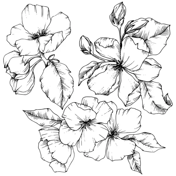 りんごの花の花植物花をベクトルします。黒と白には、アートが刻まれています。孤立した花の図要素. — ストックベクタ