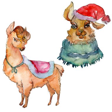 Çizgi film karakteri lama hayvan suluboya tarzında. Suluboya arka plan illüstrasyon küme. İzole Lama öğesi.