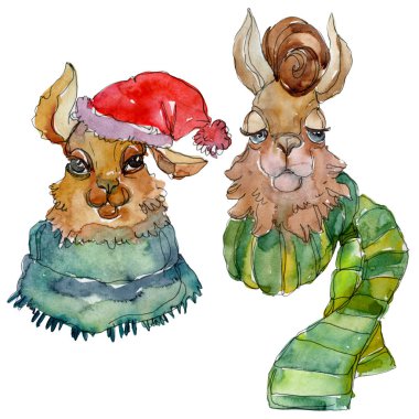 Çizgi film karakteri lama hayvan suluboya tarzında. Suluboya arka plan illüstrasyon küme. İzole Lama öğesi.