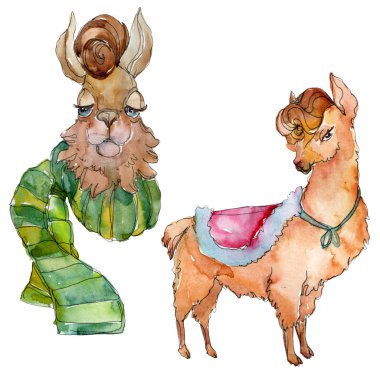 Çizgi film karakteri lama hayvan suluboya tarzında. Suluboya arka plan illüstrasyon küme. İzole Lama öğesi.