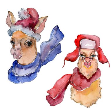 Çizgi film karakteri lama hayvan suluboya tarzında. Suluboya arka plan illüstrasyon küme. İzole Lama öğesi.