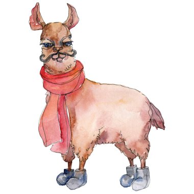 Çizgi film karakteri lama hayvan suluboya tarzında. Suluboya arka plan illüstrasyon küme. İzole Lama öğesi.