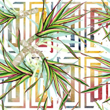 Dracaena marginata üç renkli. Suluboya arka plan illüstrasyon küme. Sorunsuz arka plan deseni.