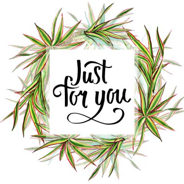 Dracaena marginata üç renkli. Suluboya arka plan illüstrasyon küme. Çerçeve kenarlığı süsleme Meydanı.