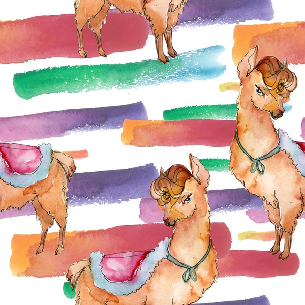 Cartoon znaków zwierzę lama w stylu przypominającym akwarele na białym tle. Akwarela, ilustracja zestaw. Bezszwowe tło wzór. — Zdjęcie stockowe