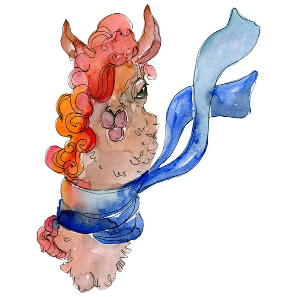 Çizgi film karakteri lama hayvan suluboya tarzında. Suluboya arka plan illüstrasyon küme. İzole Lama öğesi.