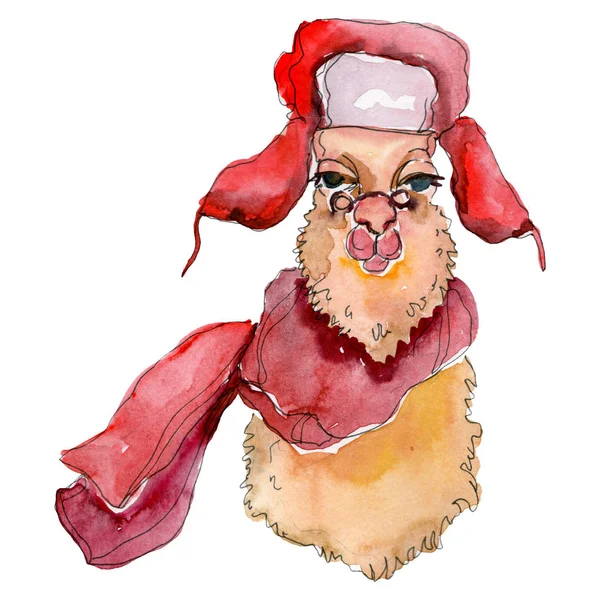 Desenhos animados personagem lama animal em um estilo aquarela. Conjunto de ilustração de fundo aquarela. Elemento de lhama isolado . — Fotografia de Stock