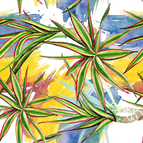 Dracaena marginata tricolor. Conjunto de ilustración de fondo acuarela. Patrón de fondo sin costuras . — Foto de Stock