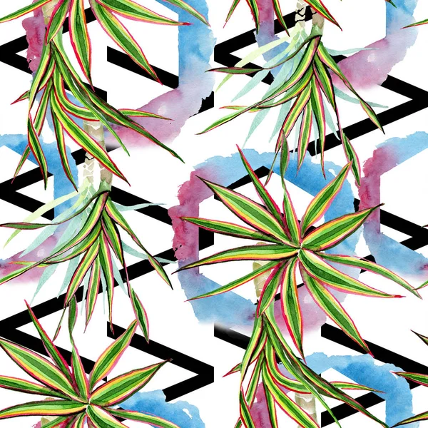 Dracaena marginata tricolor. Conjunto de ilustración de fondo acuarela. Patrón de fondo sin costuras . — Foto de Stock